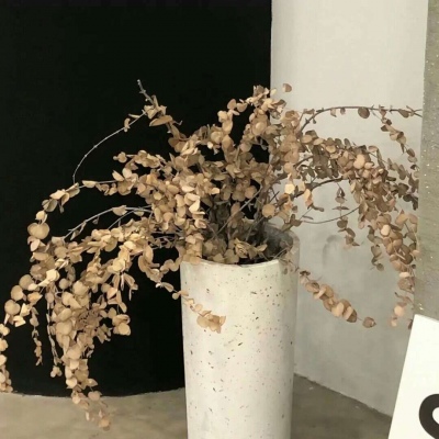 永仁福瑞交流群